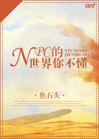[网游]NPC的世界你不懂