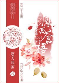 后宫之凤栖苍梧