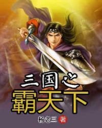 《三国之霸天下》