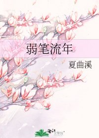弱笔流年