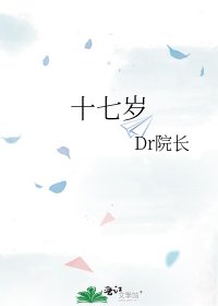 十七岁
