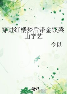 《穿进红楼梦后带金钗梁山学艺》