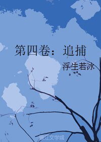 第四卷:追捕